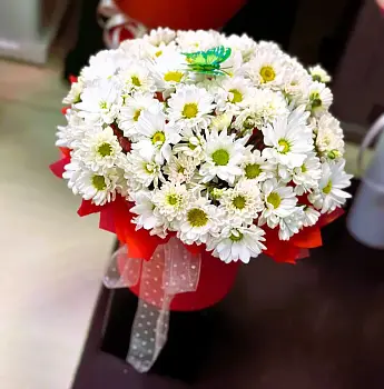 Снежная сказка